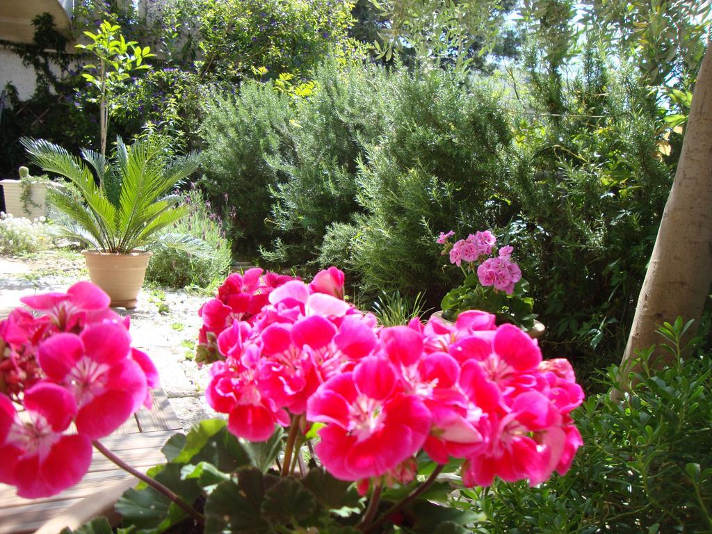 Apartment Nela And Vito Split Oda fotoğraf